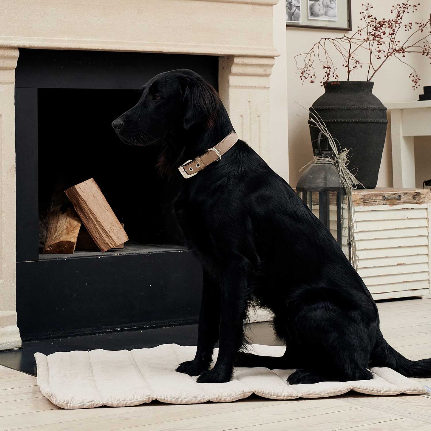 Hondenmat Travel Sand (Beige)