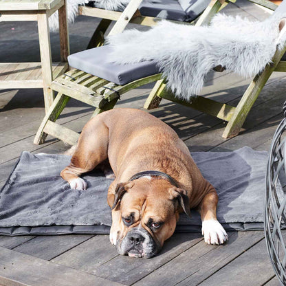 Travel Superior hondenmat