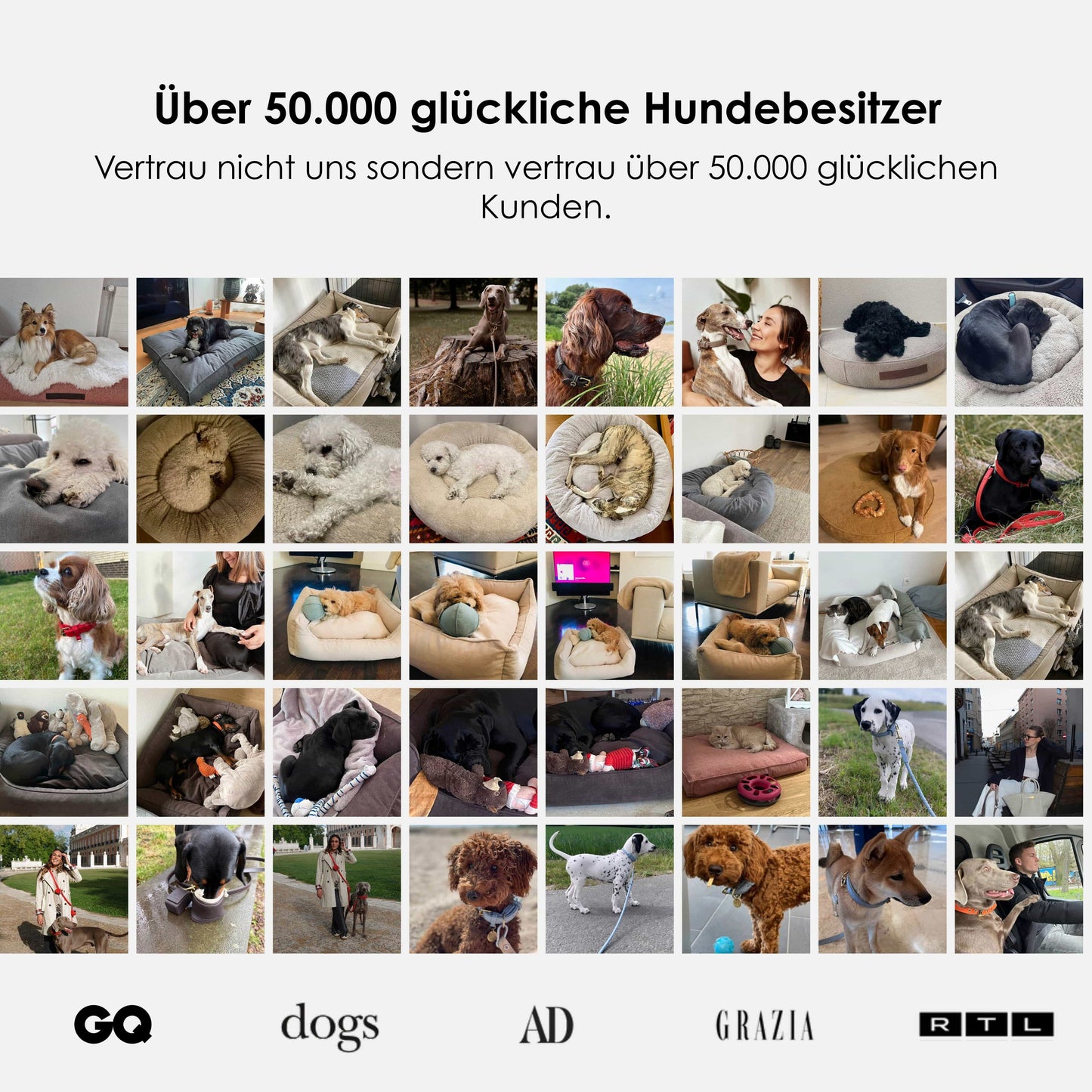 Cozy orthopedisch hondenbed