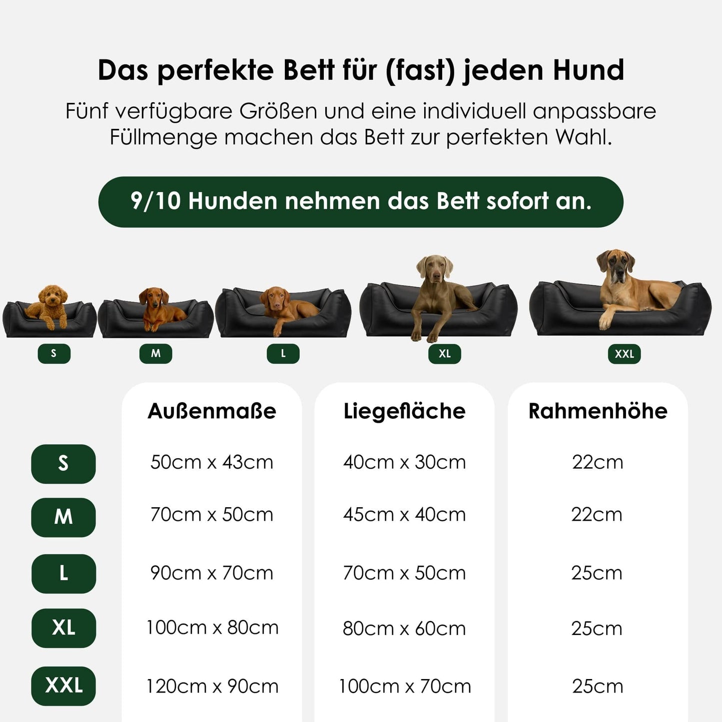 Orthopedisch hondenbed Easy