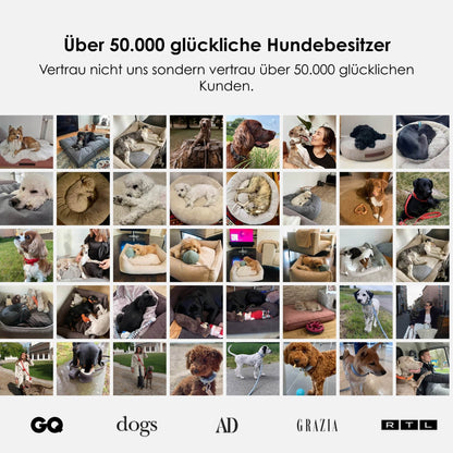 Gewoon orthopedisch hondenbed